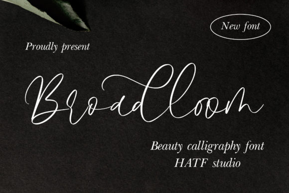 Broadloom Font for Editorial Design and Branding