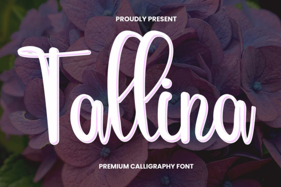 How Tallina Transformed My Brand's Visual Identity